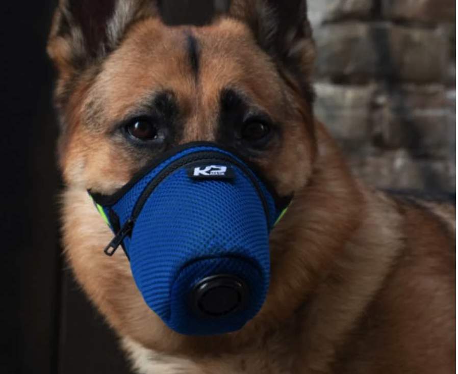 This Texas-based company sells dog masks to protect pets against coronavirus, smoke, dust and other air pollutants