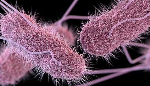CDC warns of new salmonella strain from ‘unknown food source’ infecting more than 200 people