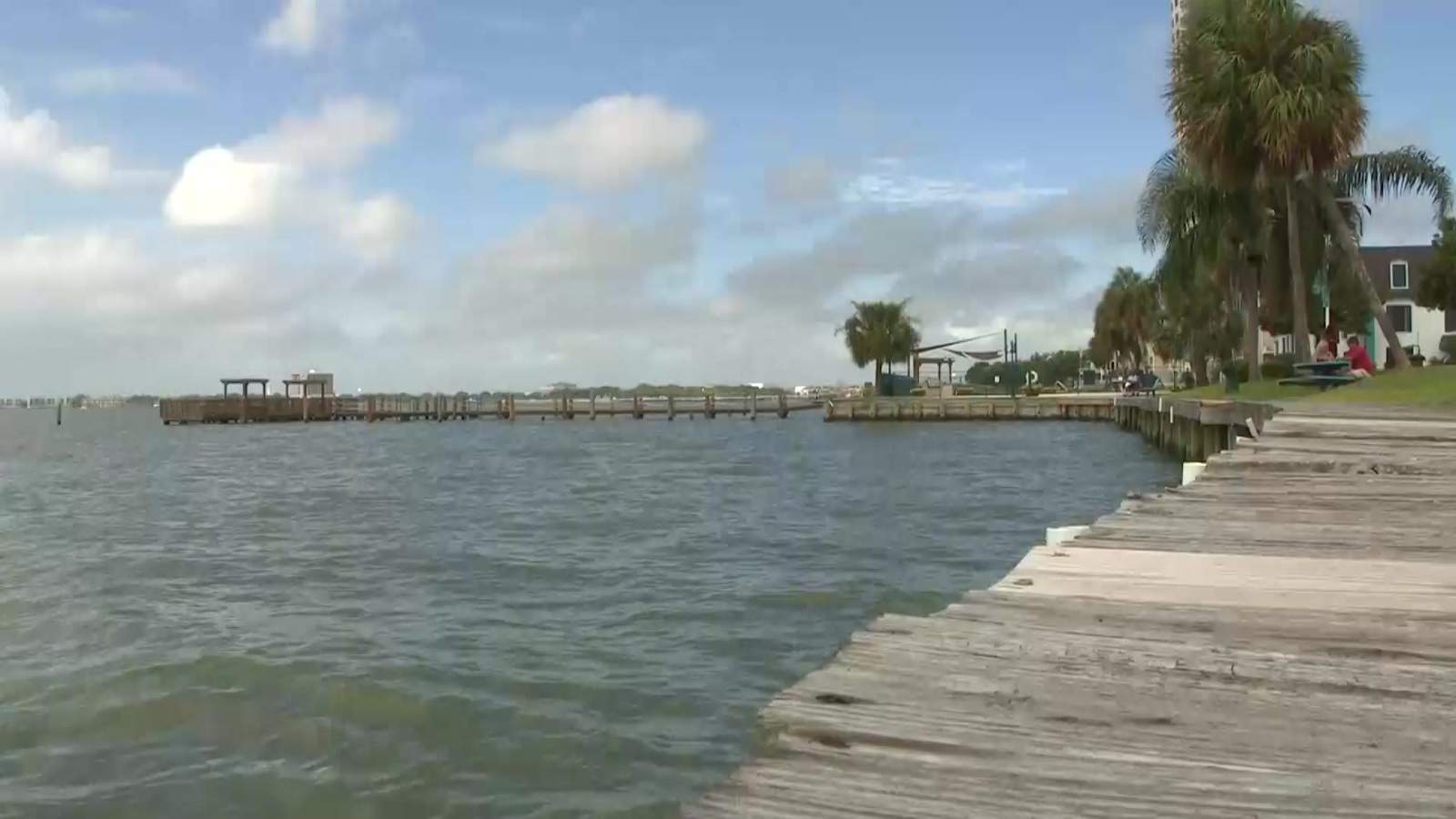 Galveston Bay gets a C on health report card. Here’s why