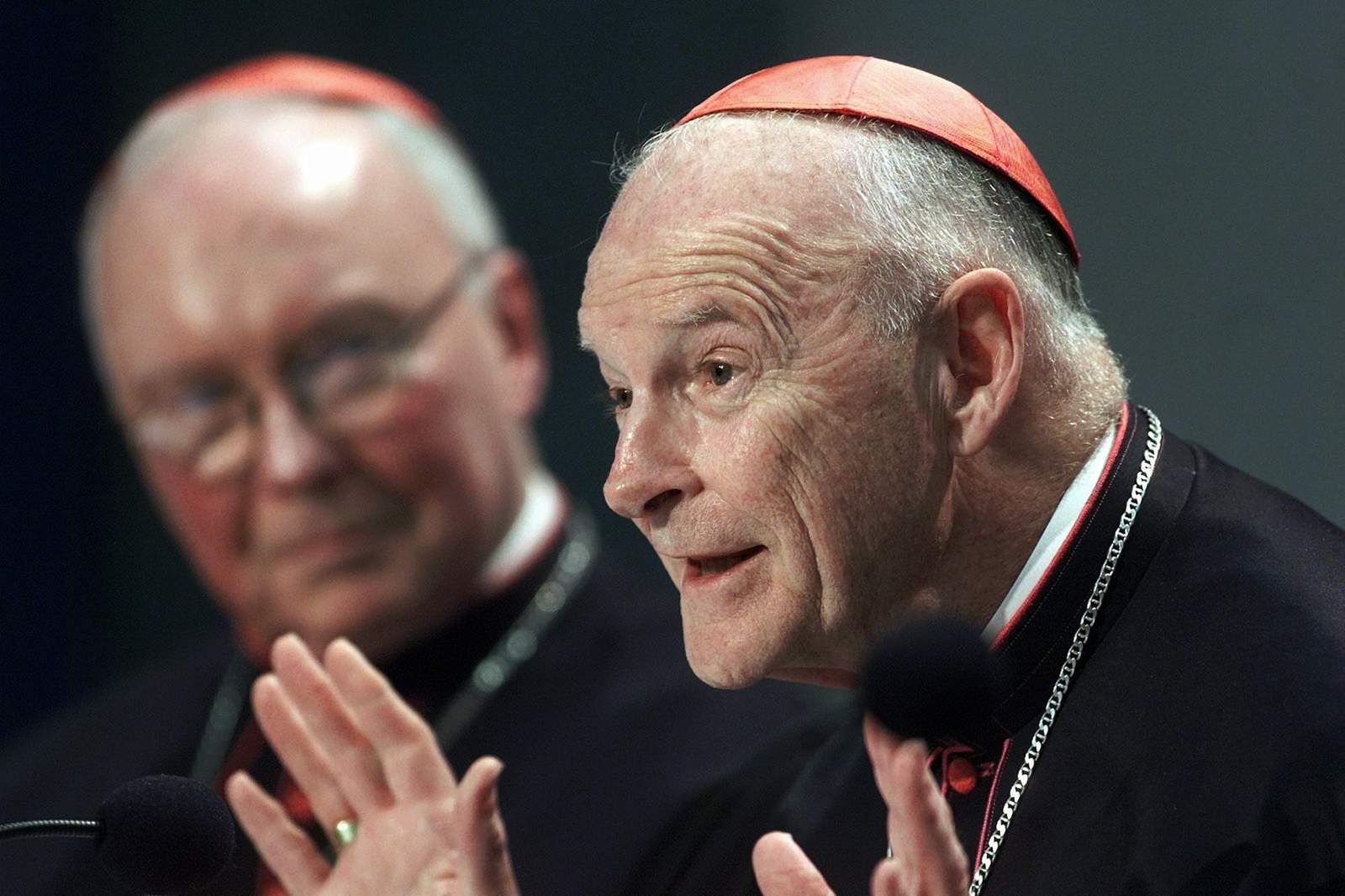 Vatican faults many for McCarrick’s rise, spares Pope Francis