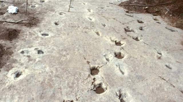 This is where you can explore tracks left by dinosaurs in Texas