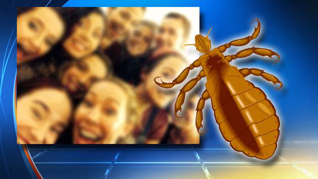 Selfie takers could be targets for head lice