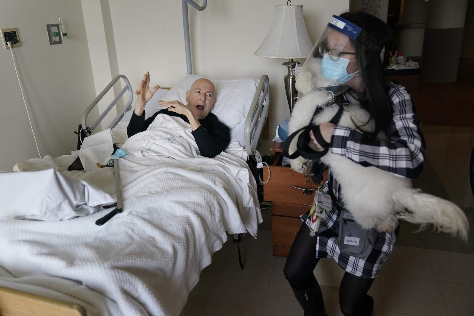 Dogs ease pandemic isolation for nursing home residents