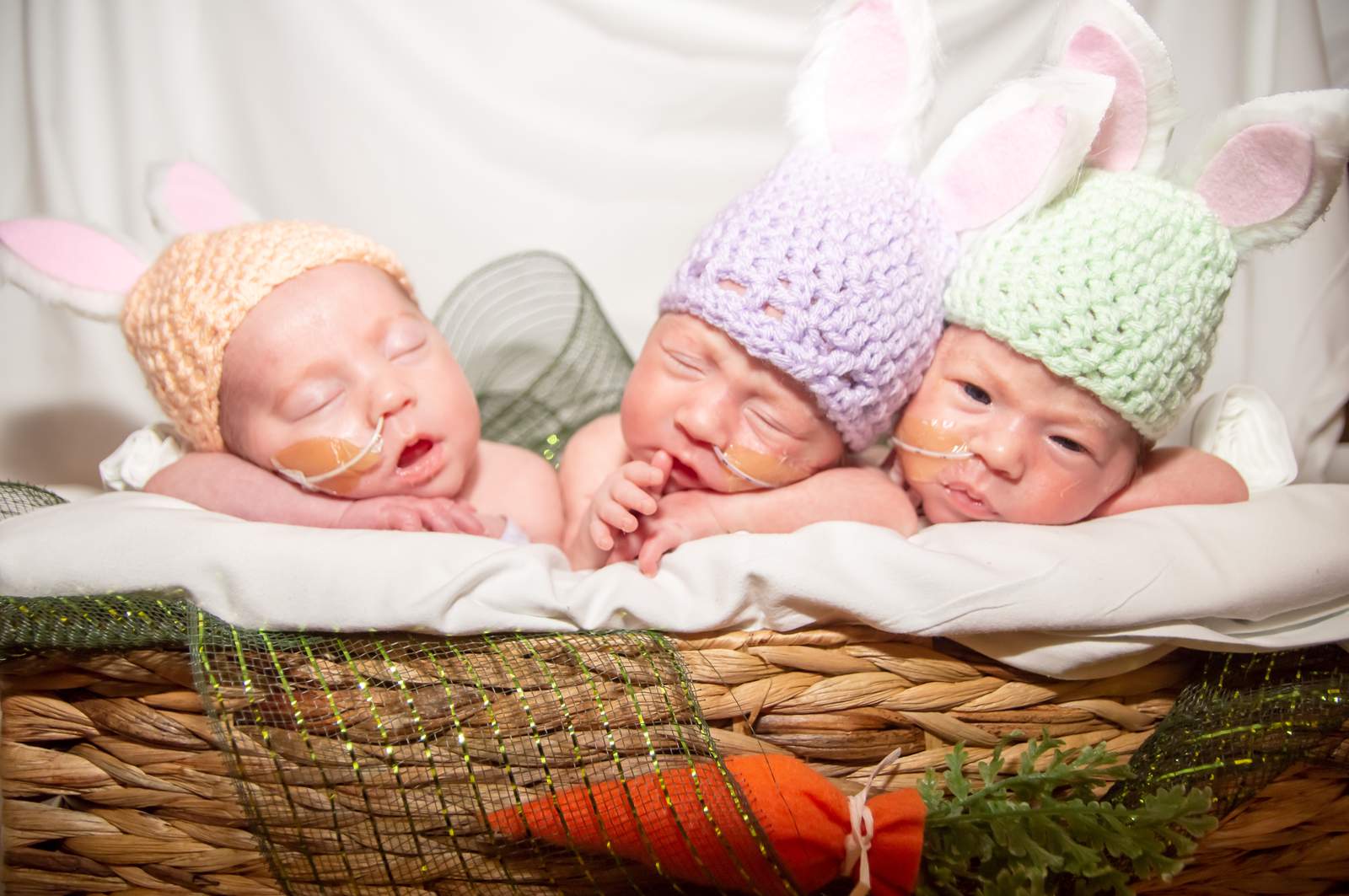 GALLERY: Heartwarming photos of newborns dressed as bunnies for Easter