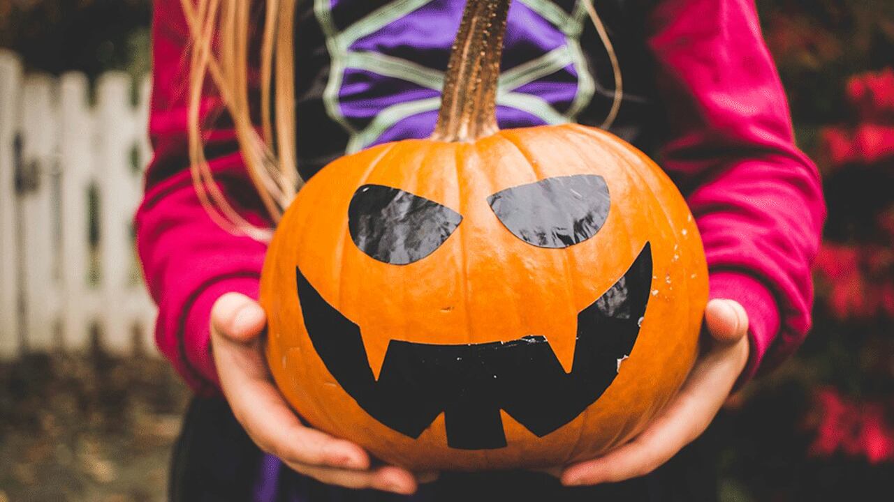 5 Family Friendly Halloween Events In Houston