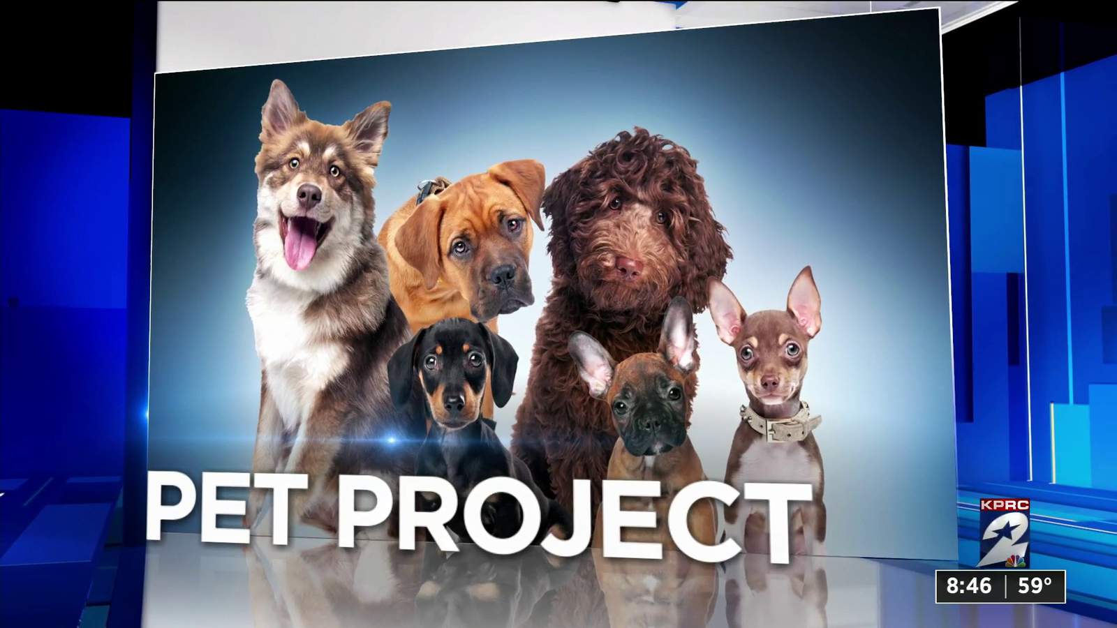KPRC Pet Project