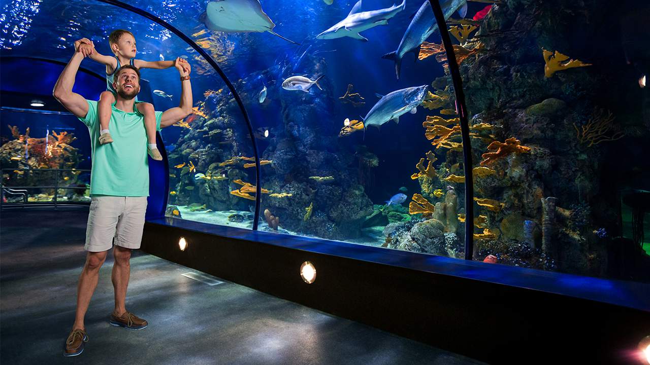 Here are 7 Houston-area family attractions that are now open