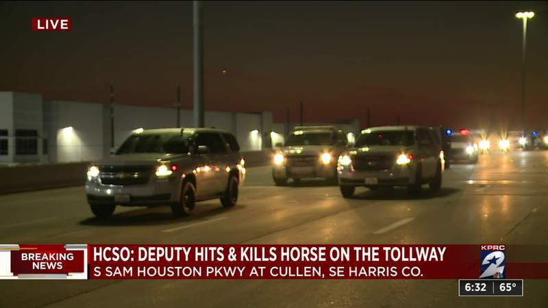 Beltway 8 at Cullen reopens after deputy’s vehicle fatally struck a horse on the roadway