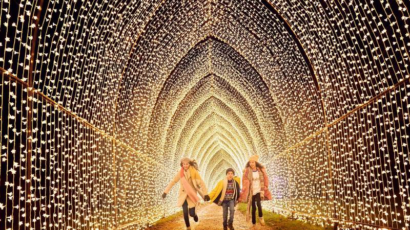 Shedding whole new lights: Botanic garden set to host world-renowned light show this holiday season