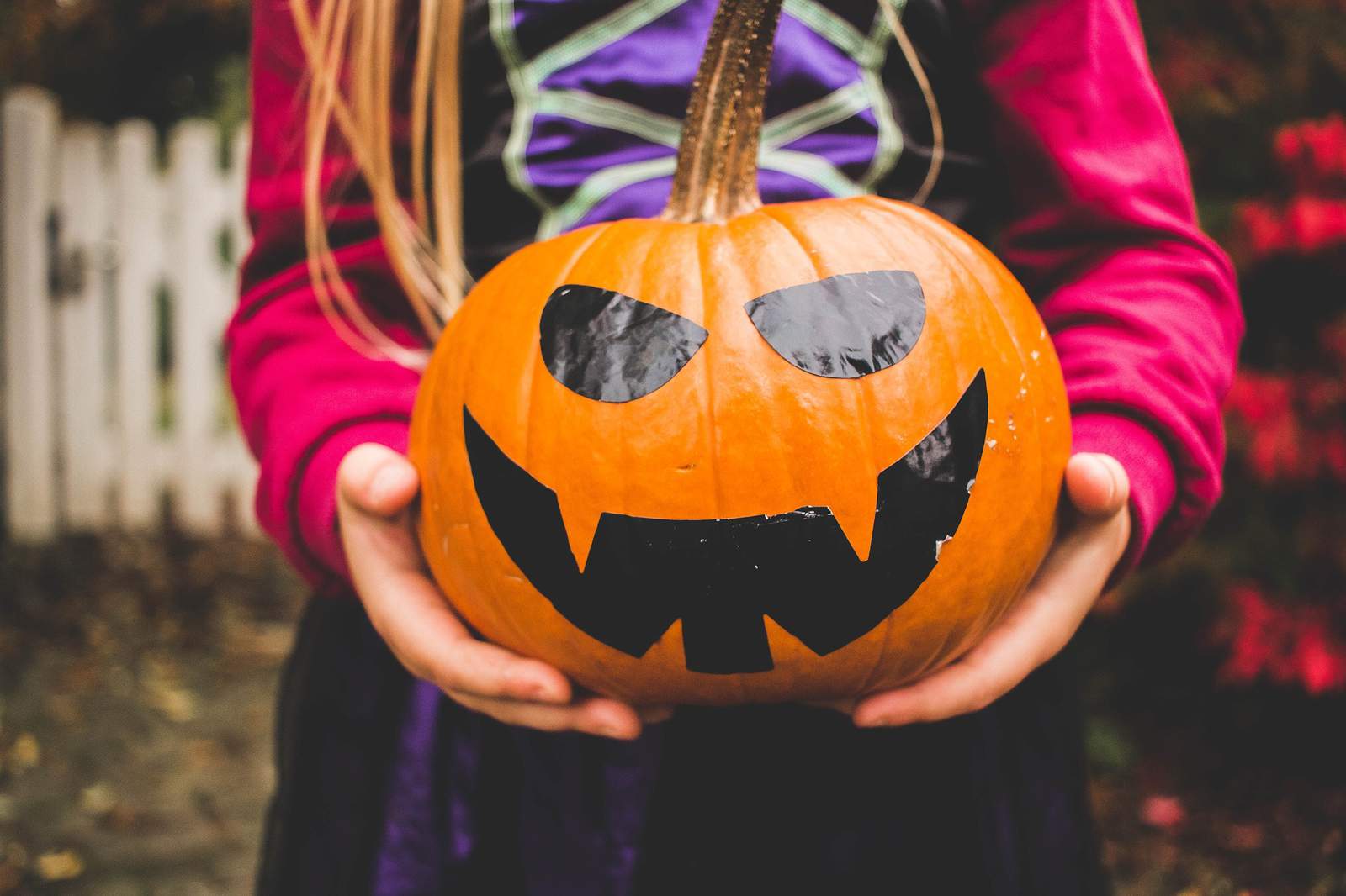 10 family-friendly Halloween events happening in the Houston area