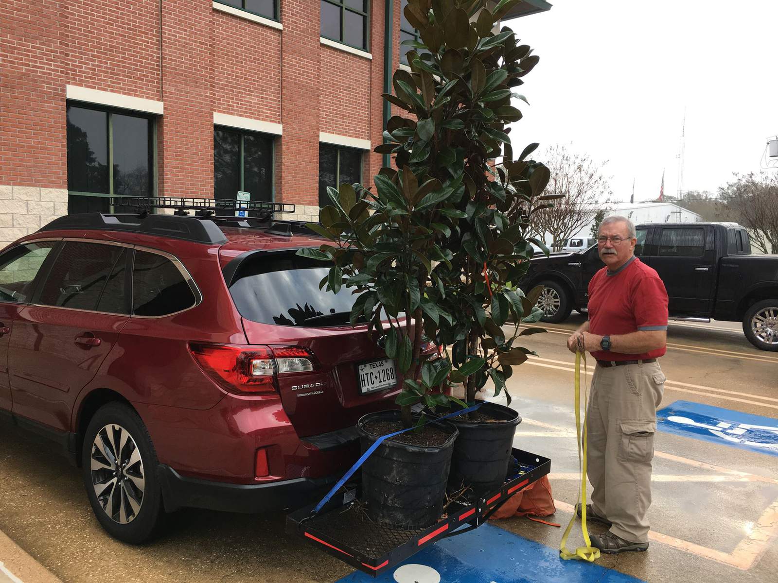 You can get free trees from the City of Friendswood in January