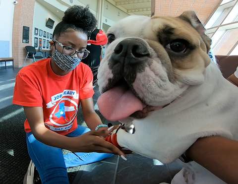Spring ISD graduates return to school to finish making prosthetics for pawless pup