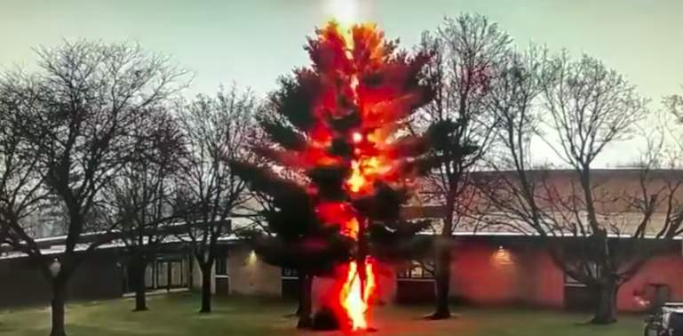 VIDEO: Lightning bolt wipes out tree