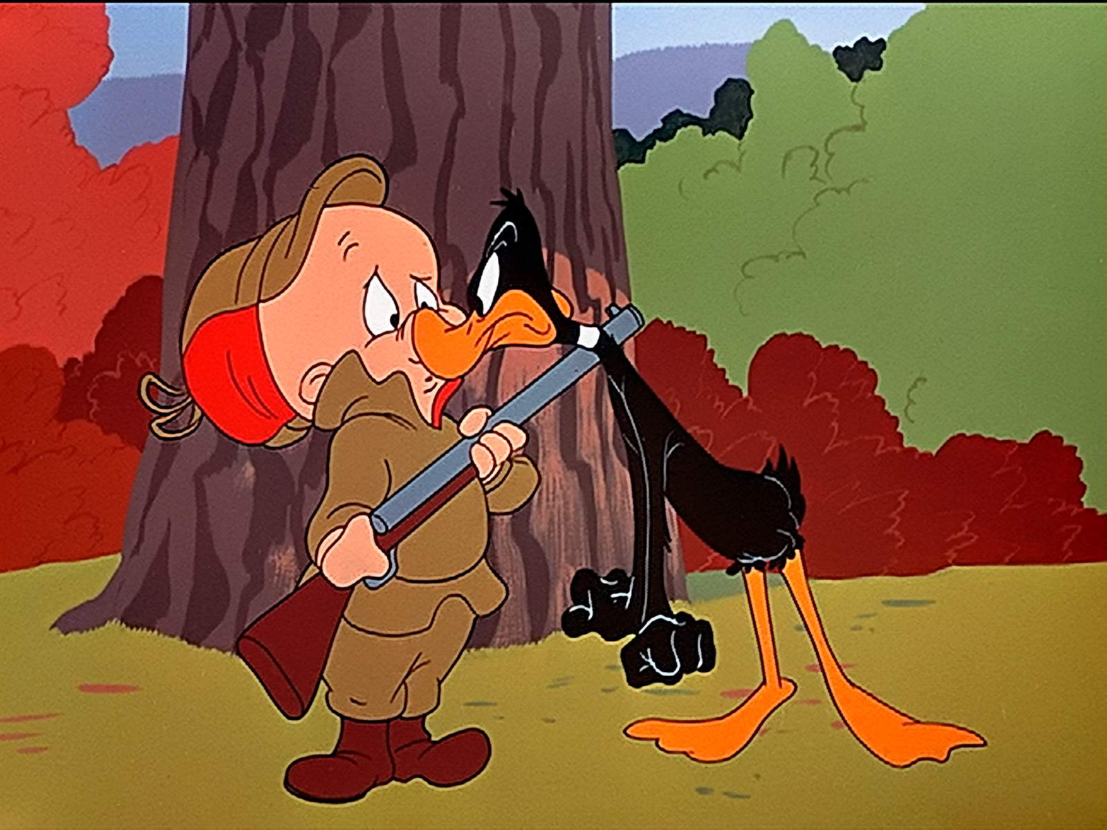 Elmer Fudd and Yosemite Sam no longer have guns in new Looney Tunes Cartoons