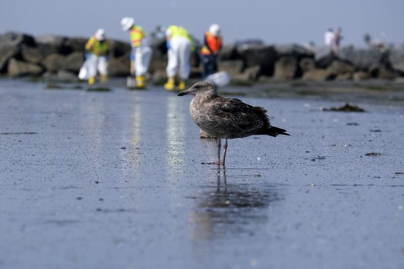 California spill not the environmental disaster first feared