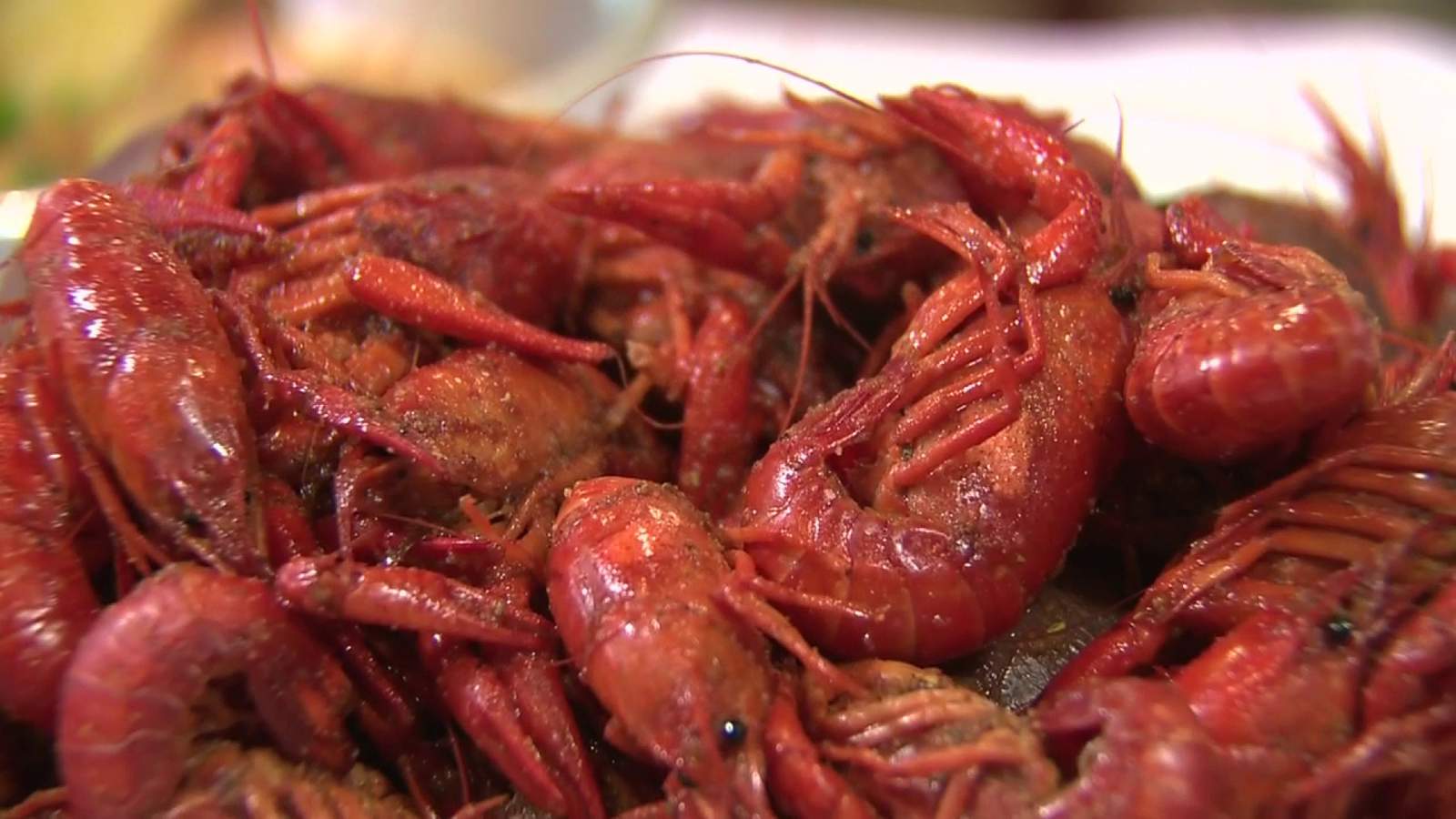 Crawfish or crab legs? Enjoy all-you-can-eat seafood with family and friends at Annual ‘Cajun AF’ Festival