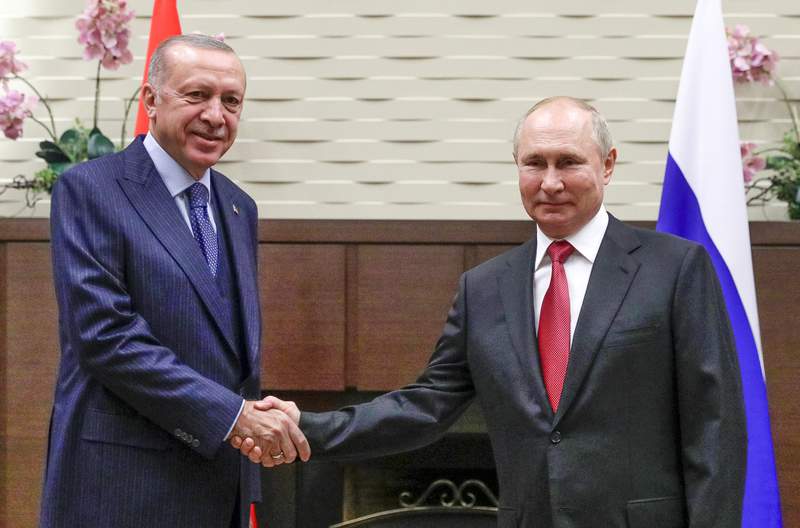 Putin, Erdogan sit down for talks on war-torn Syria