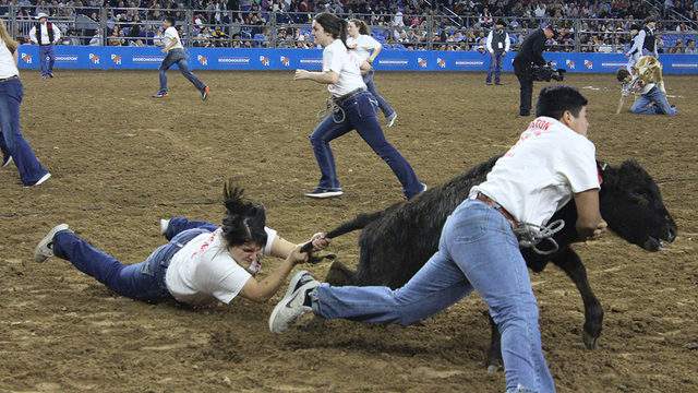 Houston Rodeo’s Calf Scramble gets an upgrade for 2022: Here’s what to expect