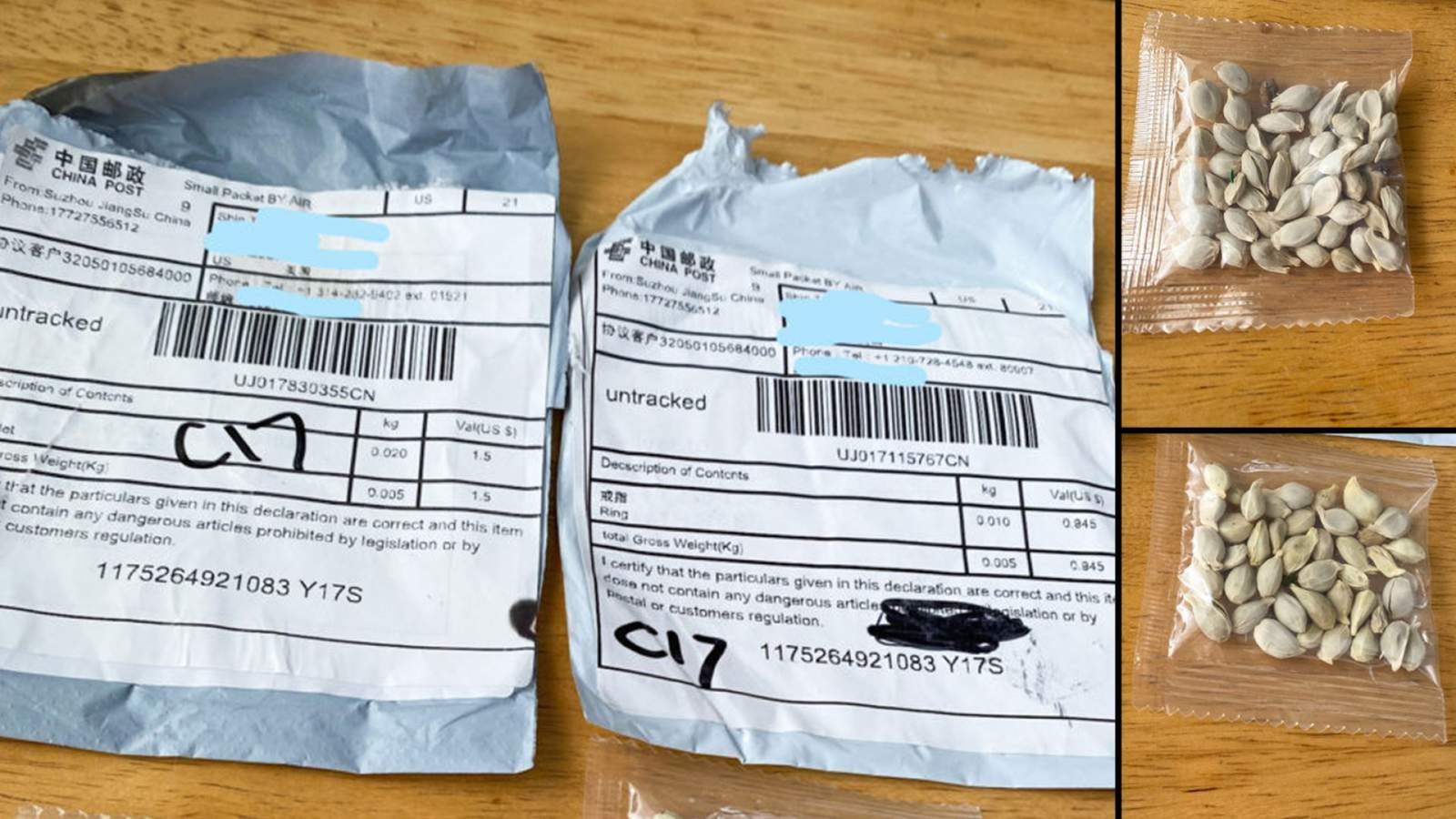 Did you get seeds from China in the mail? USDA says don’t plant them