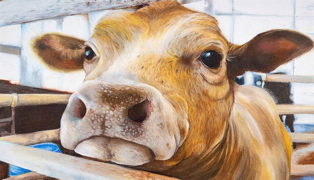 No description available