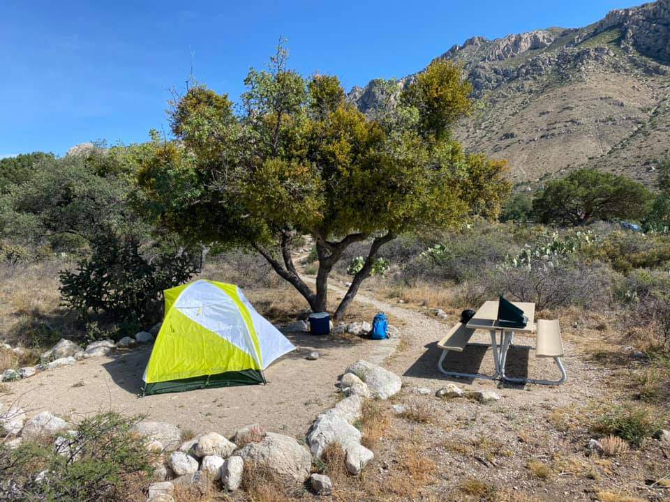 Really love camping? This Texas national park is seeking volunteers to camp for 3 months