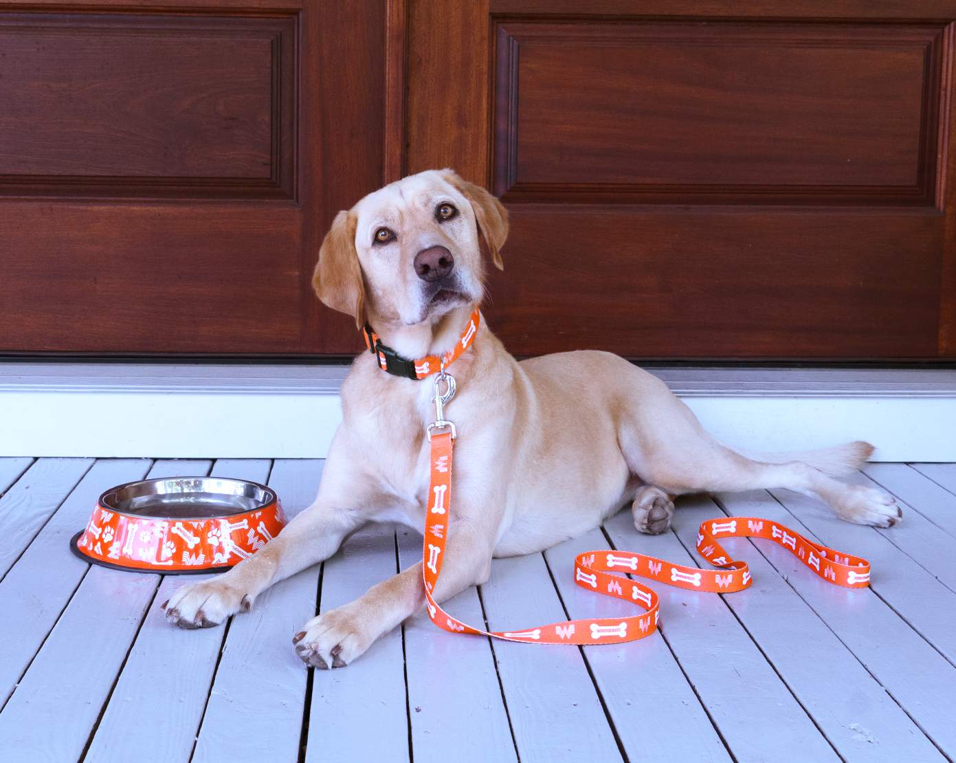 Whataburger has launched a pawsome new pet set thats perfect for your furry friends