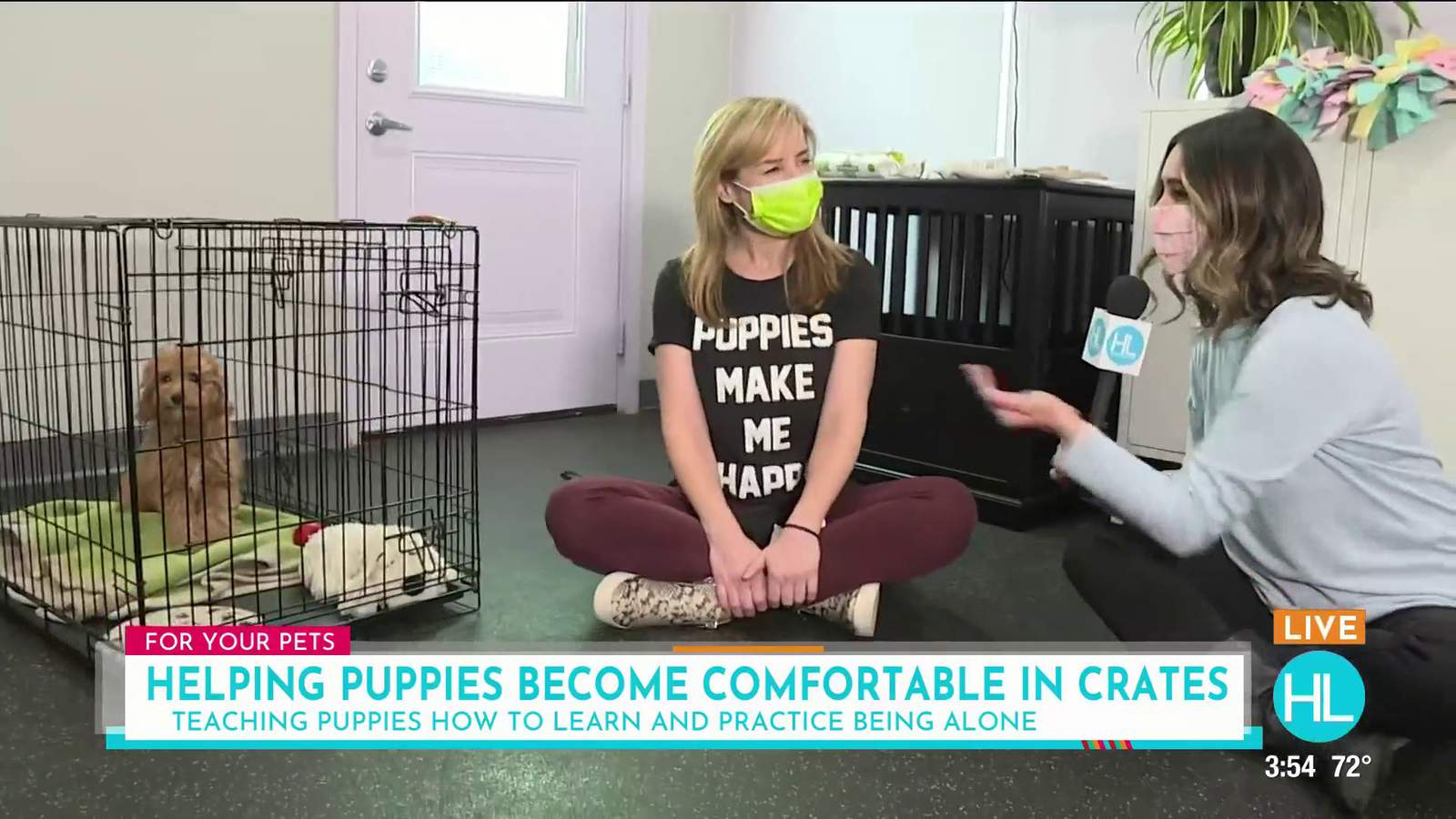 Stephanie Bennett shares tips on helping your puppy adjust to being alone in the crate