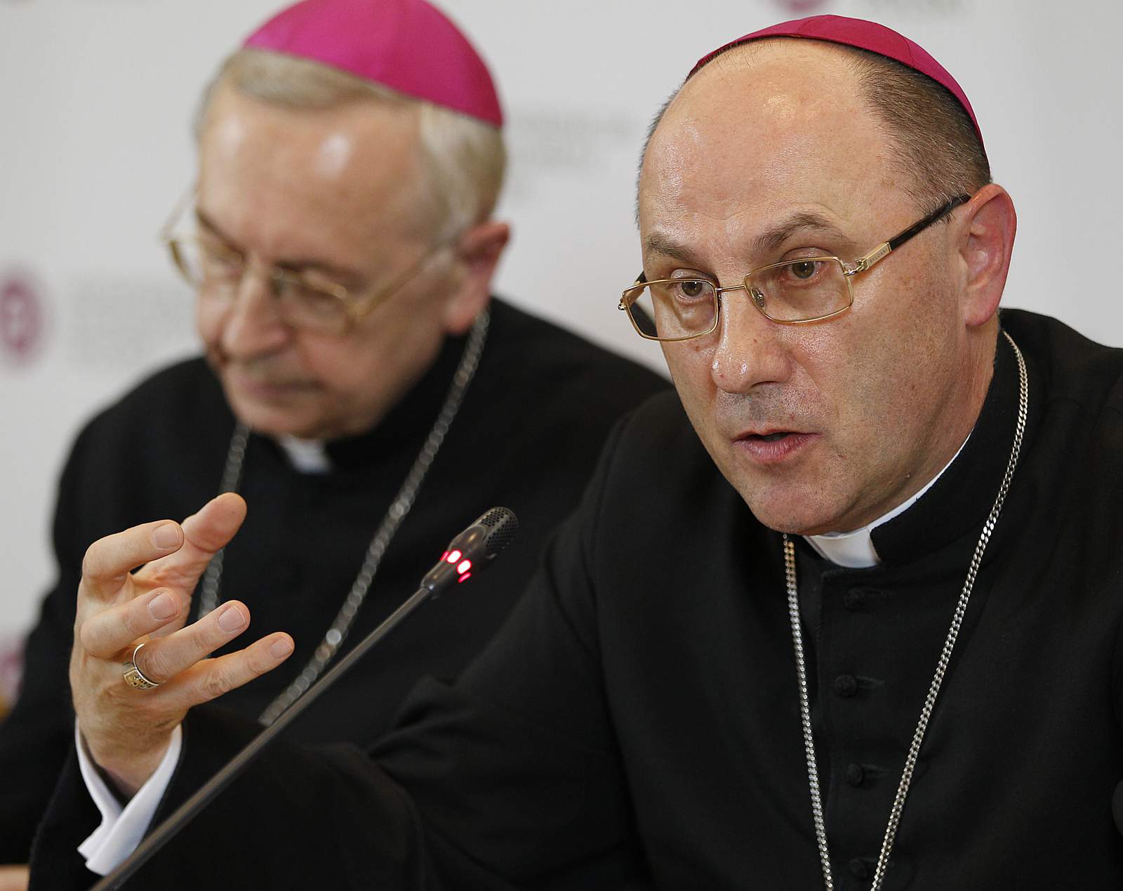 Pope moves against Polish bishop accused of hiding predators
