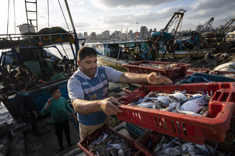Gaza fishermen take to water again after cease-fire