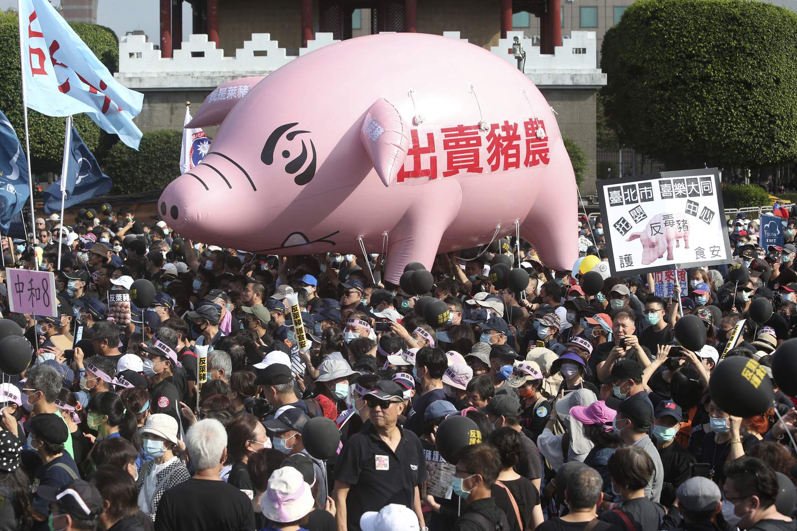 Thousands march in Taiwan against US pork imports