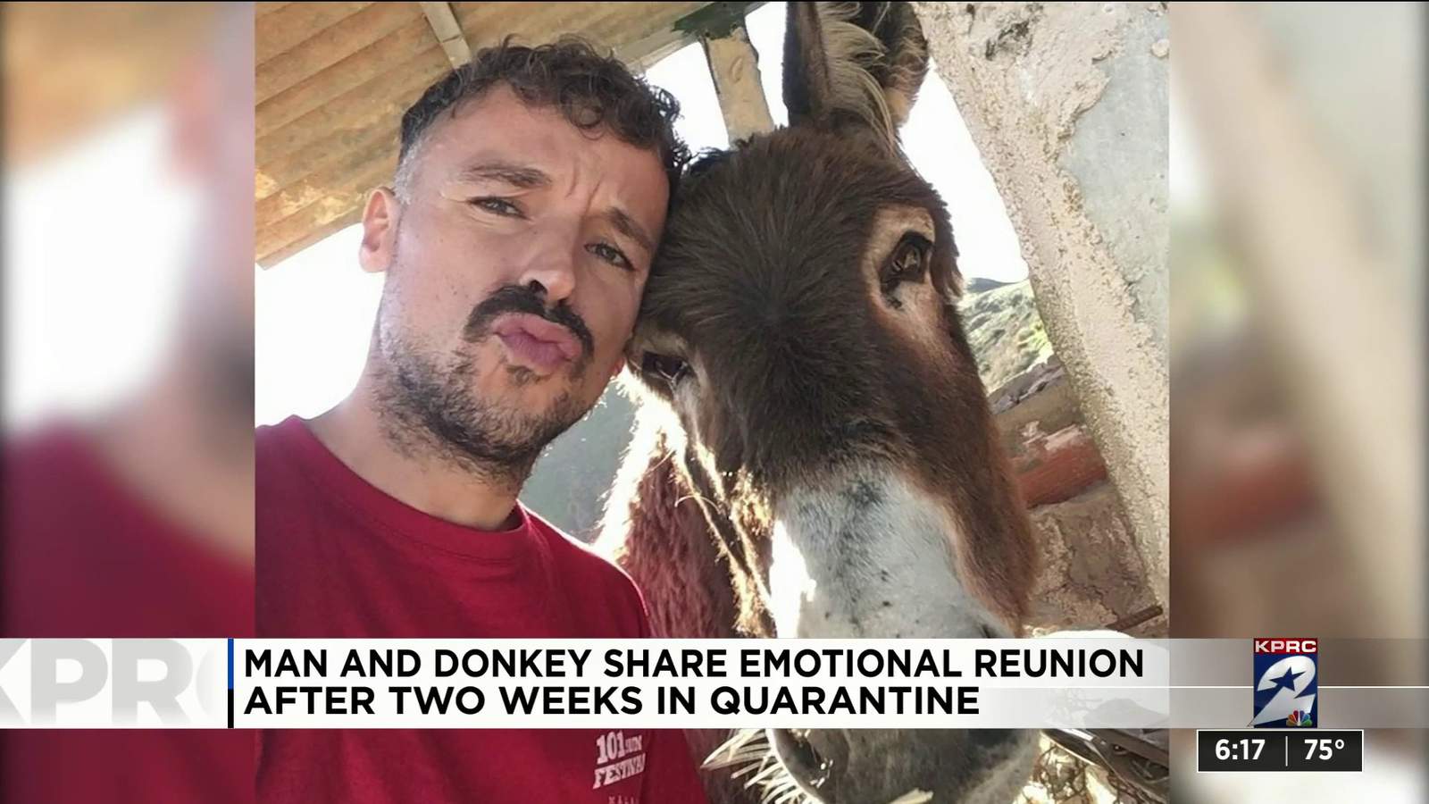 One Good Thing: Man and donkey share emotional reunion after weeks in quarantine