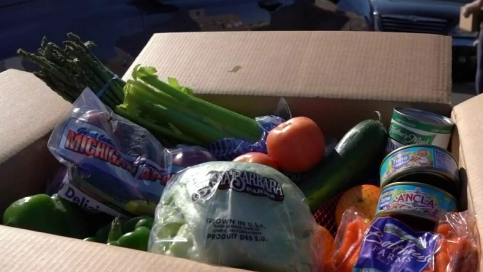 6 community partners awarded $550K to fight food insecurity in Harris County