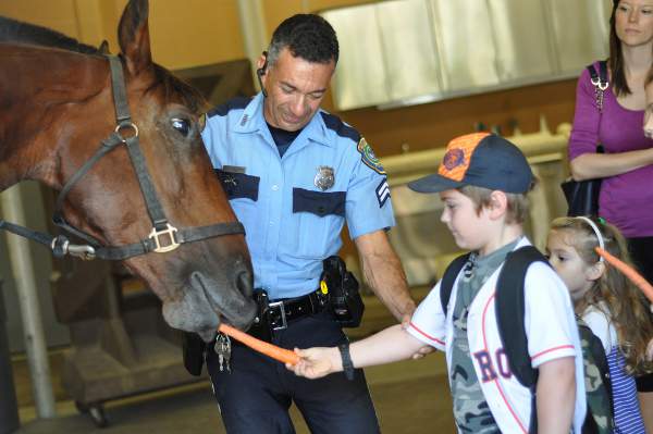 Family fun: Feed Houston police horses at HPD’s mounted patrol stables