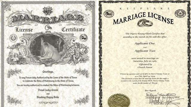 New Marriage License Removes Image Of Man And Woman Changes Titles For Applicants,Black Capped Conure For Sale