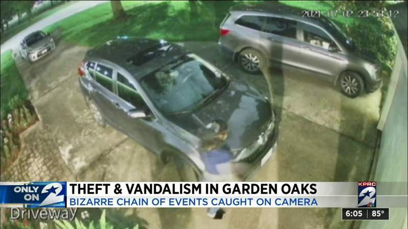 VIDEO: Police searching for woman who’s accused of vandalizing several homes in Garden Oaks