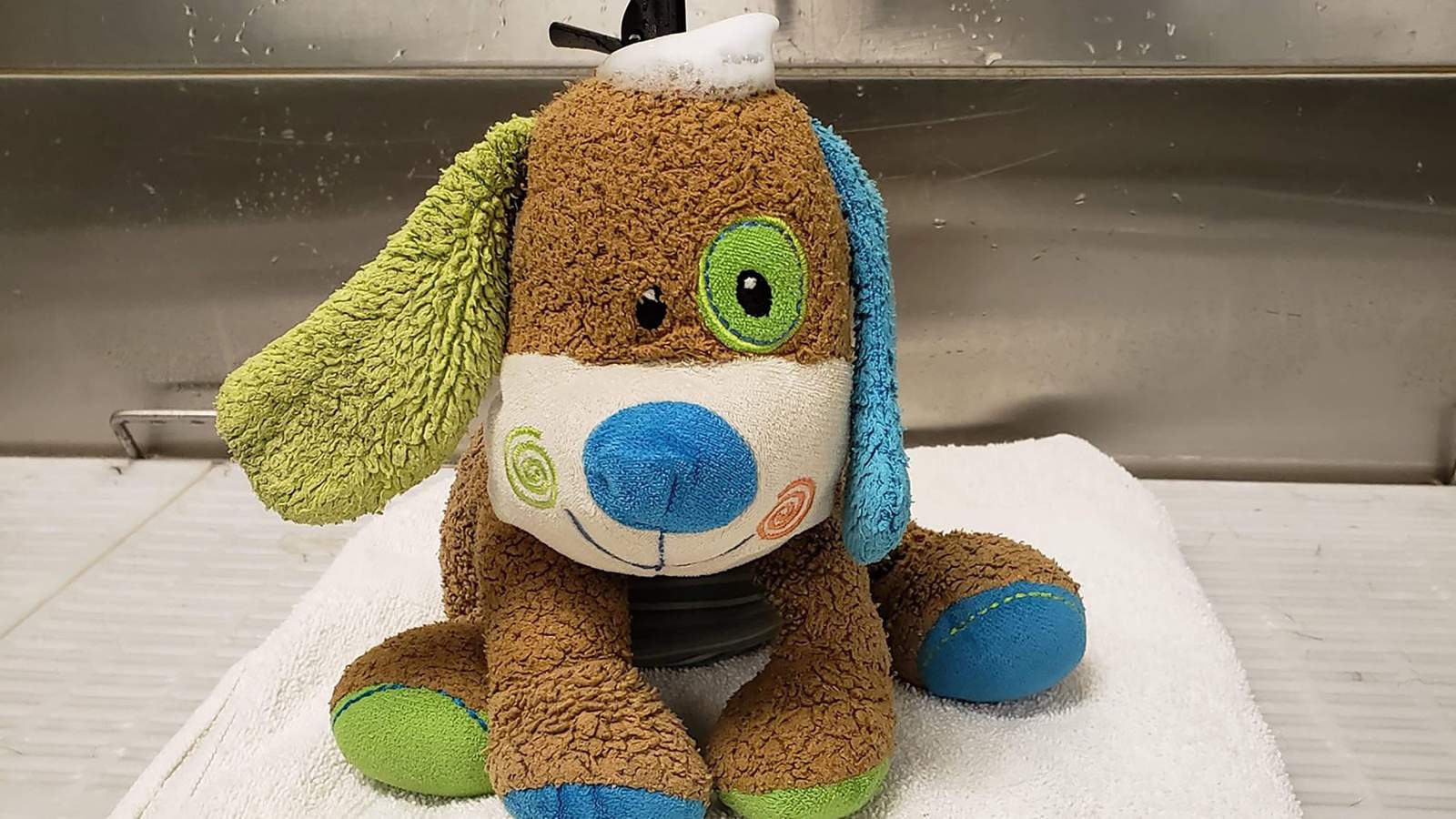 A boy lost his ‘stuffy-puppy’ near a dog spa in Maine, then groomers gave it a special spa day