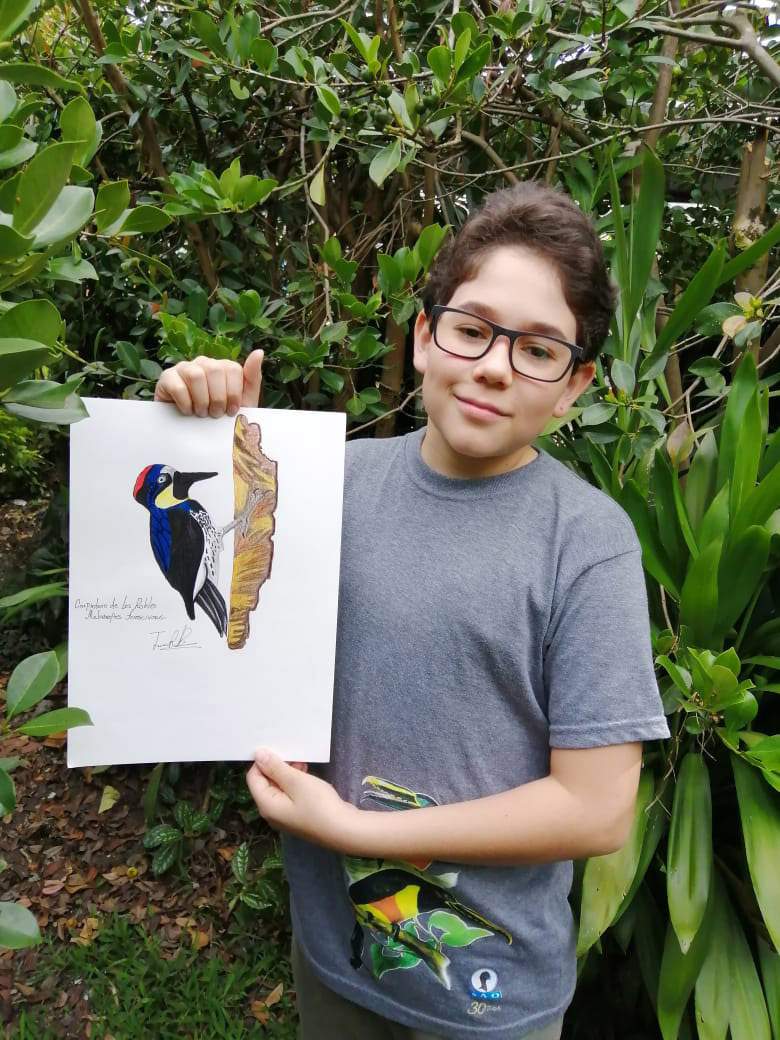 Colombian teen draws, donates bird guide to raise awareness