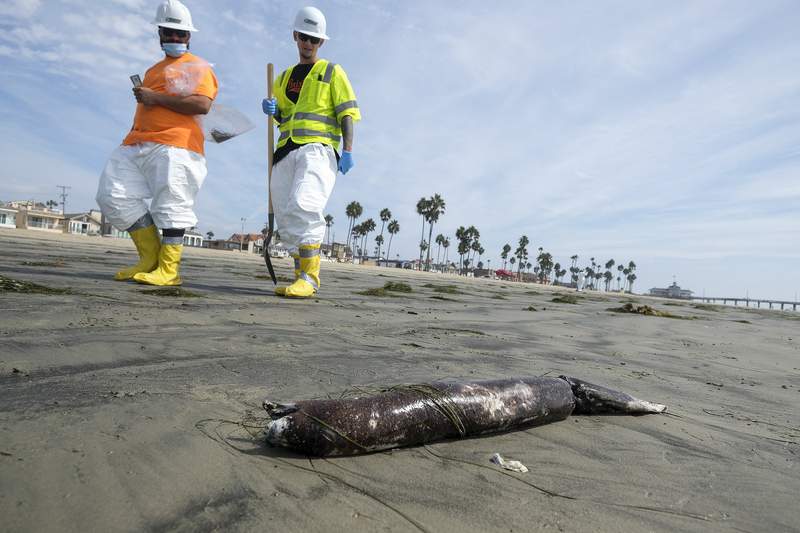 California pipeline likely damaged up to a year before spill