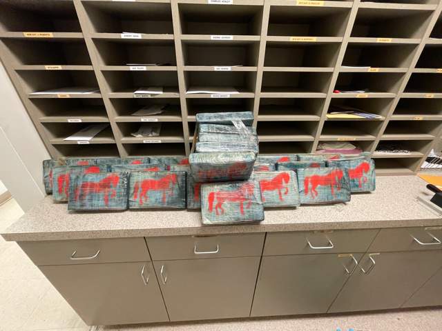 Nearly 50 kilos of suspected cocaine seized from packages that washed up on Matagorda County beaches