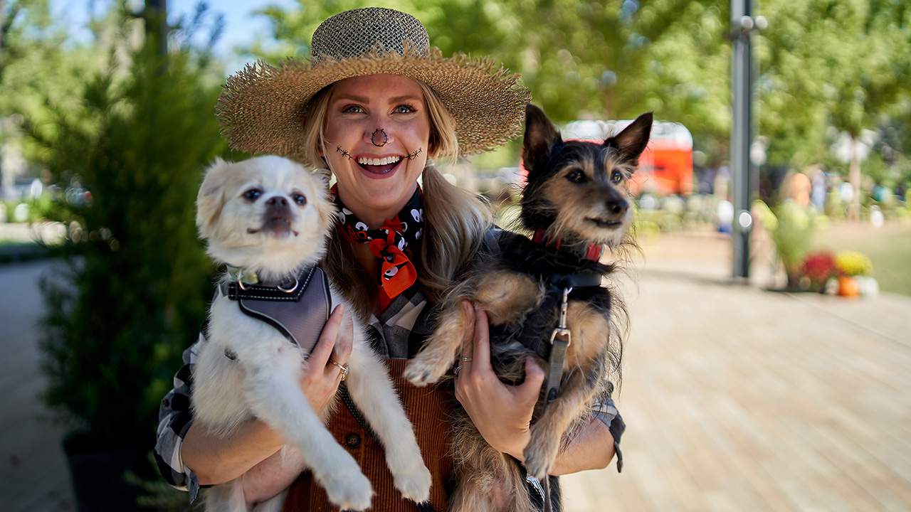 Take part in the Howl-o-ween Dog Costume Contest at Levy Park
