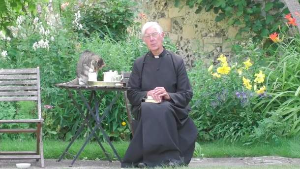 VIDEO: Cat interrupts online church service to steal some milk