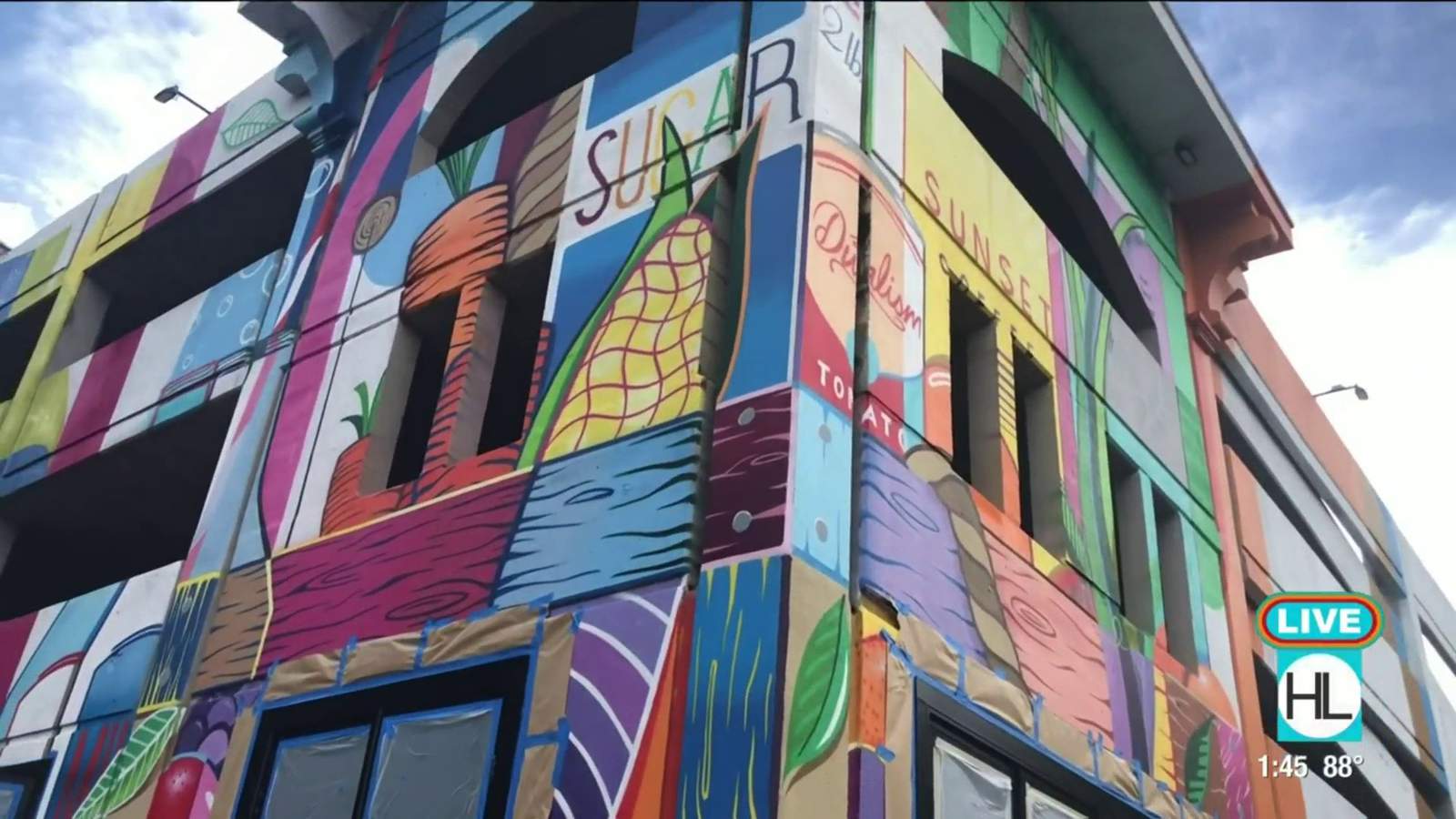 New website helps people find and enjoy the many wonderful murals throughout Houston | HOUSTON LIFE | KPRC 2