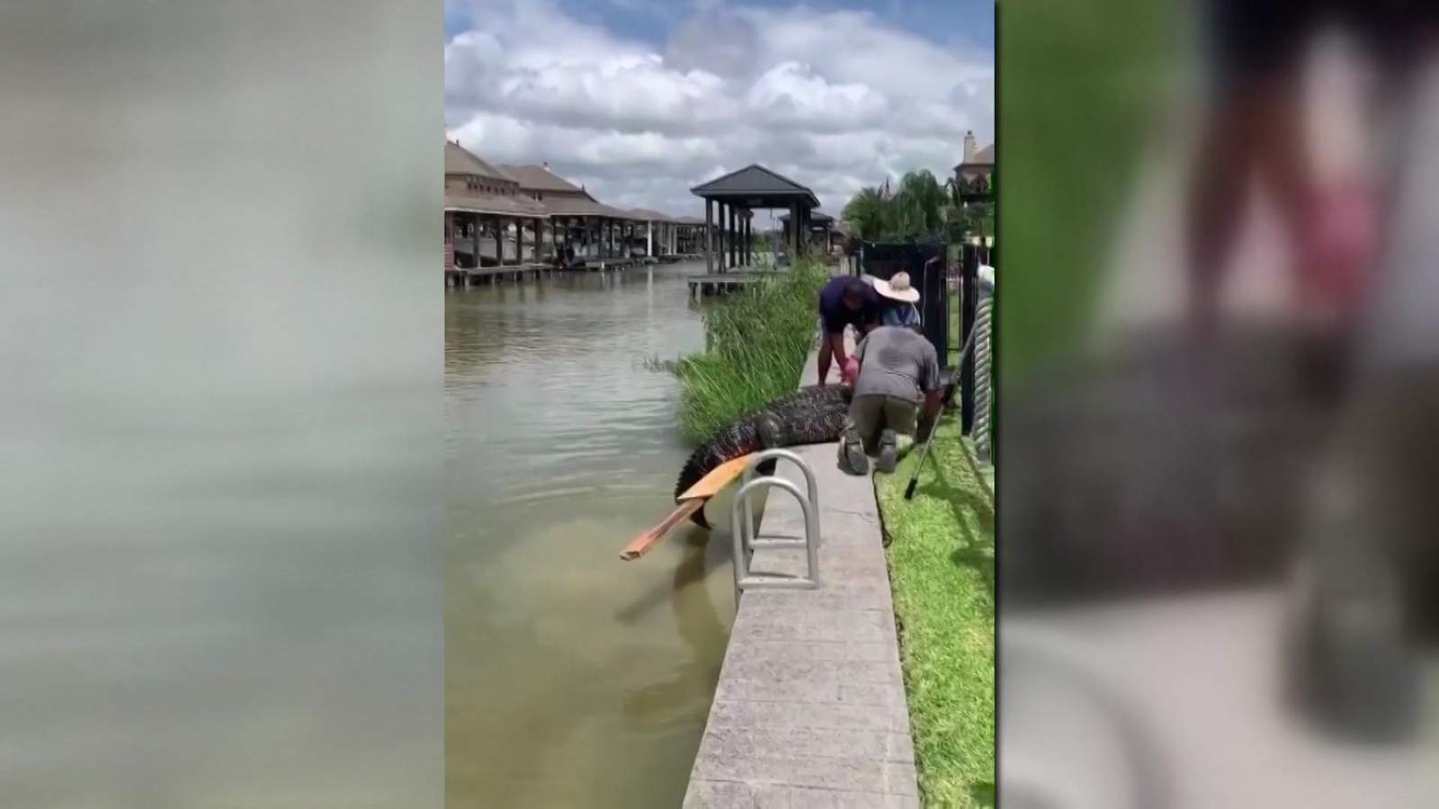 League City dad’s quick actions save 4-year-old from jaws of a massive, 11-feet alligator