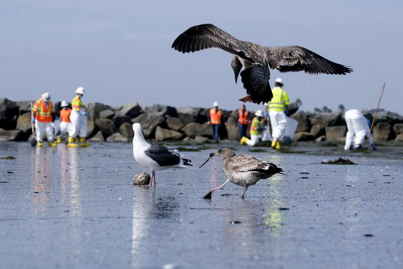 EXPLAINER: What's happening with the California oil spill?
