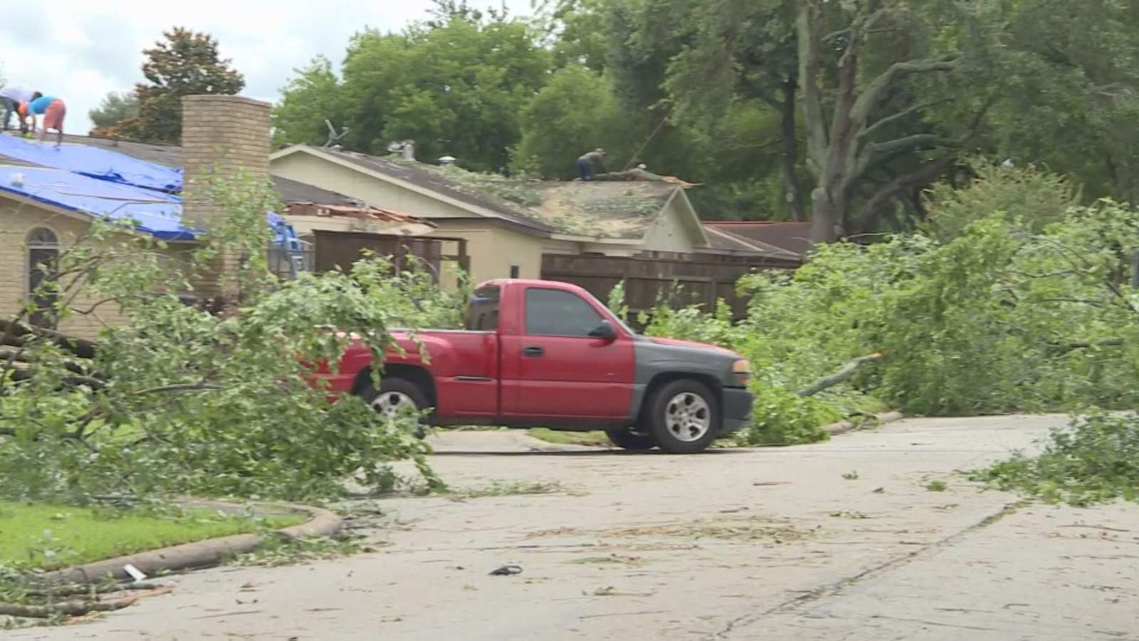 Heavy rain, strong winds send trees crashing down in southwest Houston