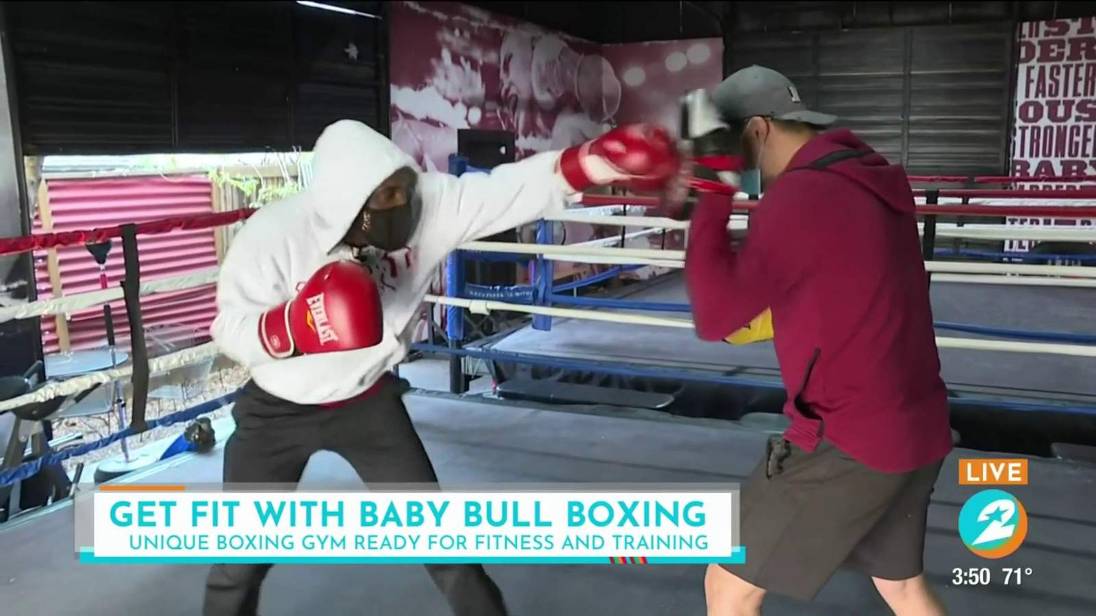 Punching into the new year with Baby Bull Boxing