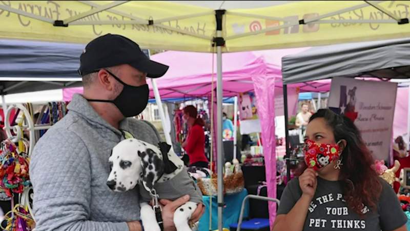 ‘PawzUp Dog Festival’ returning to CityPlace Springwoods on Saturday for some free furry fun