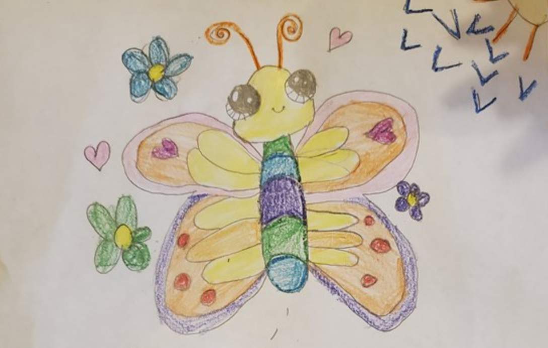 See 128 Drawings Of Insects Houston Kids Sent Us For Art Assignment
