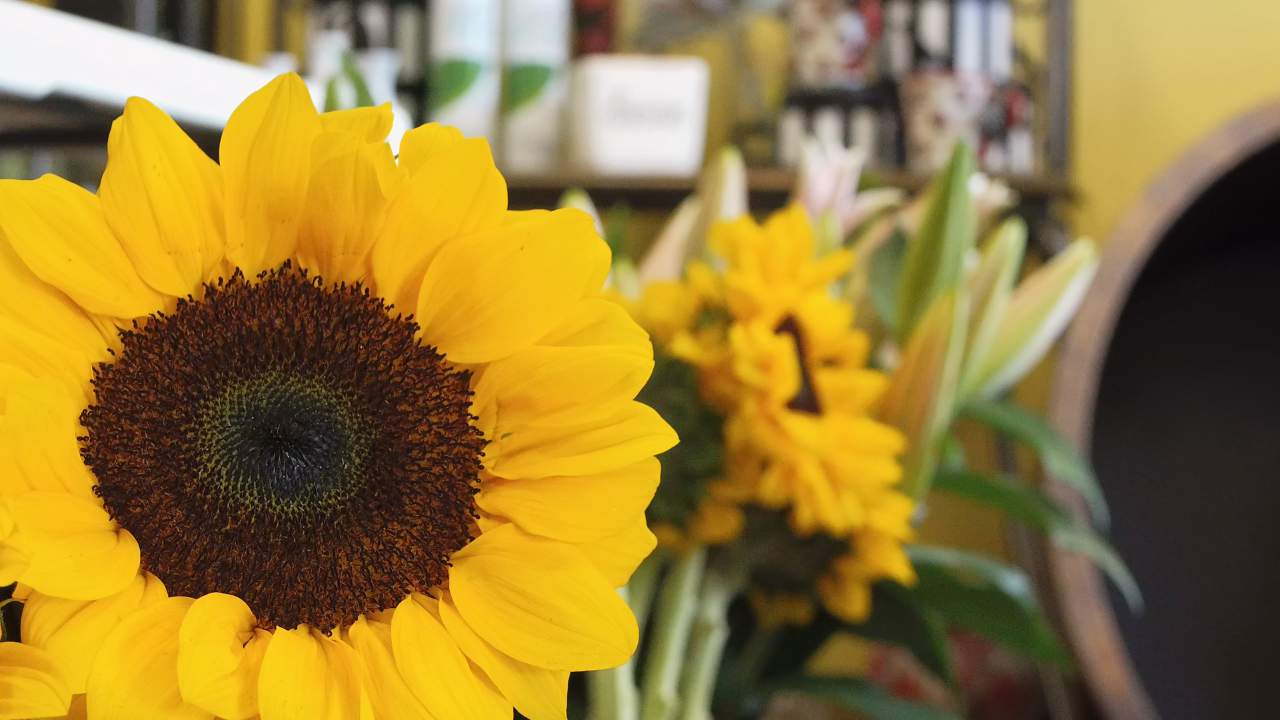 LIST: Order or pick up flowers at these 10 Houston locations this Mother’s Day weekend