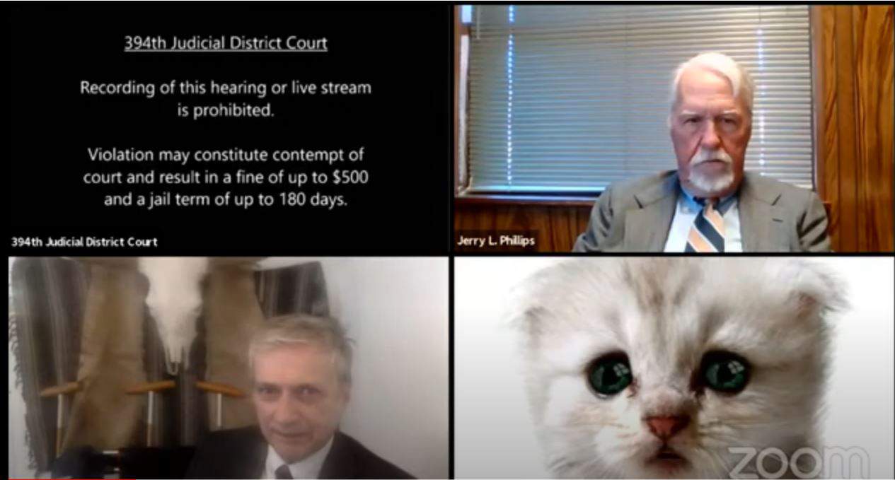 ‘I’m not a cat’: Lawyer has hard time turning off the kitten filter during court hearing via Zoom